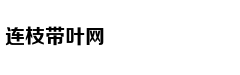 国庆北京首贼大兴落网 身藏6部